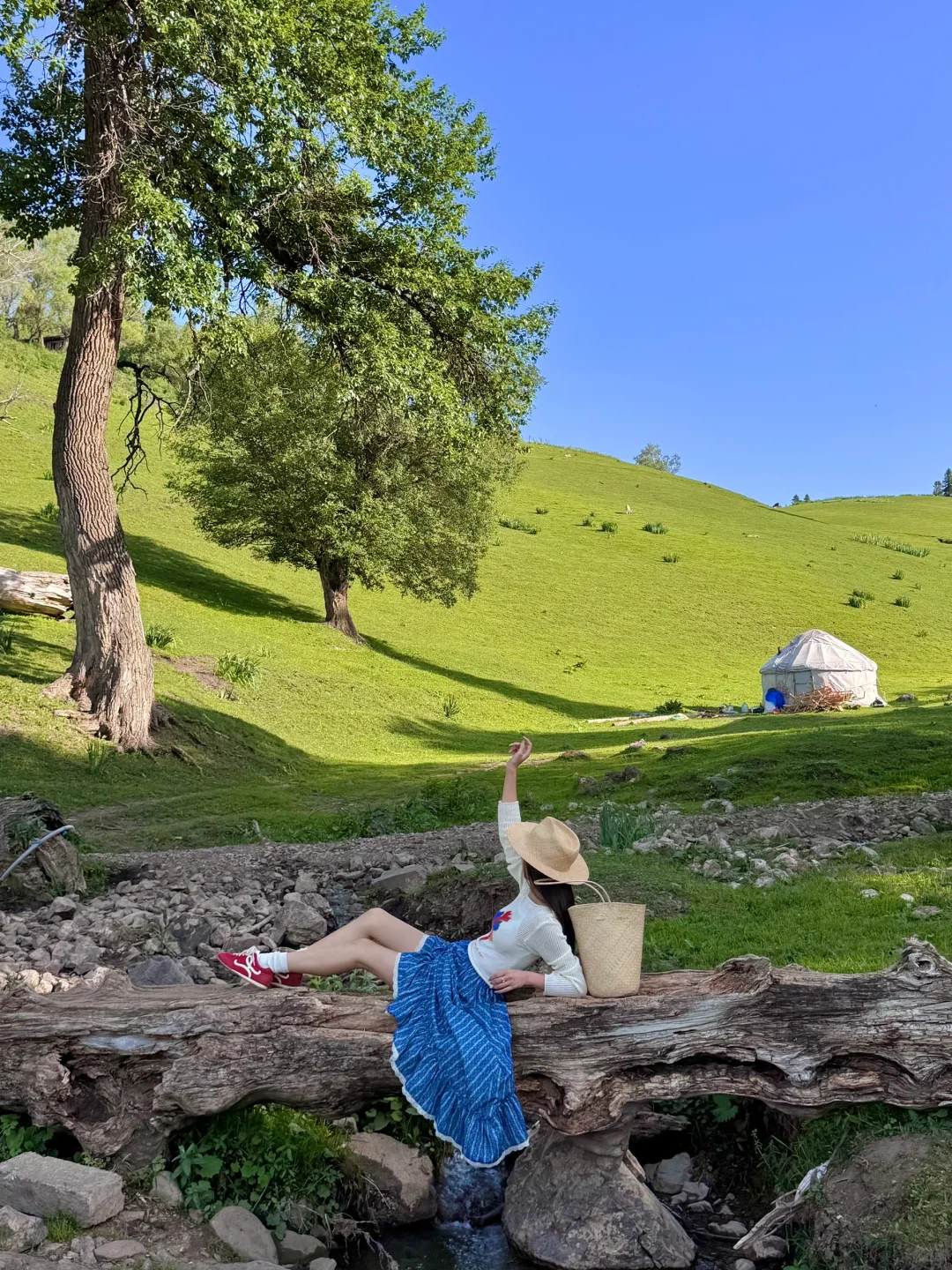 去那拉提别再排队🧎网红桥了🌲