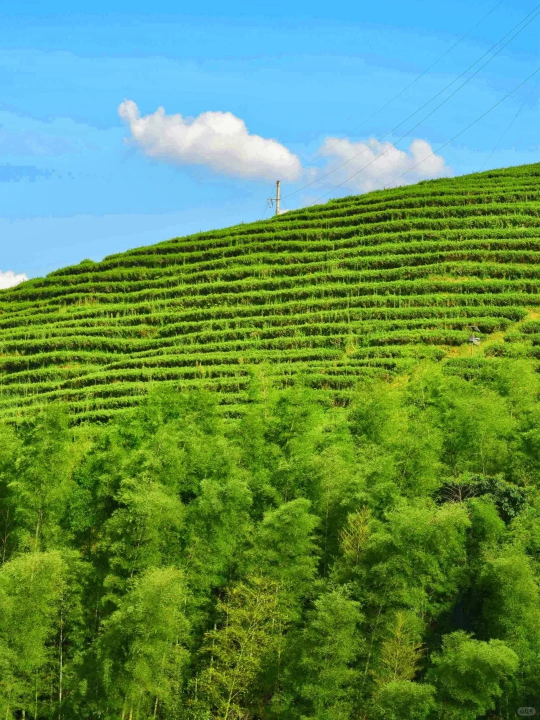 推荐一个绝对冷门但超级震撼的地方……