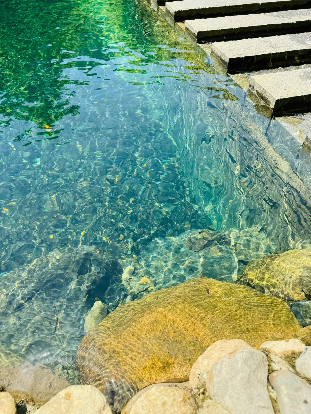 果冻湖狂热粉丝狂喜