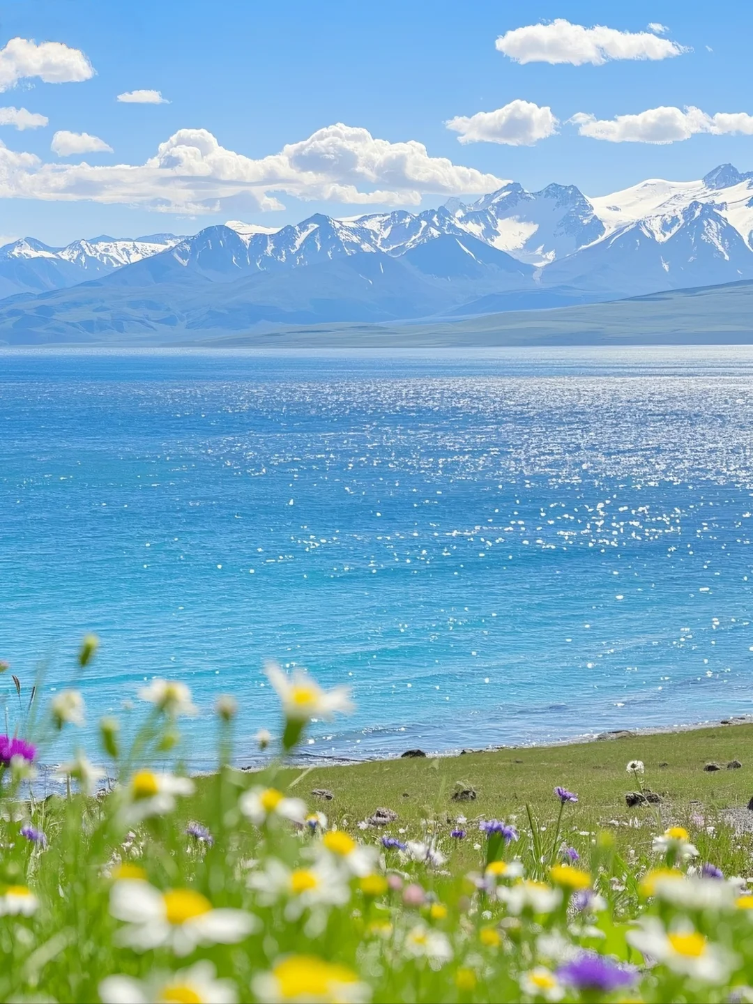 夏天的赛里木湖,不是只有美这么简单!