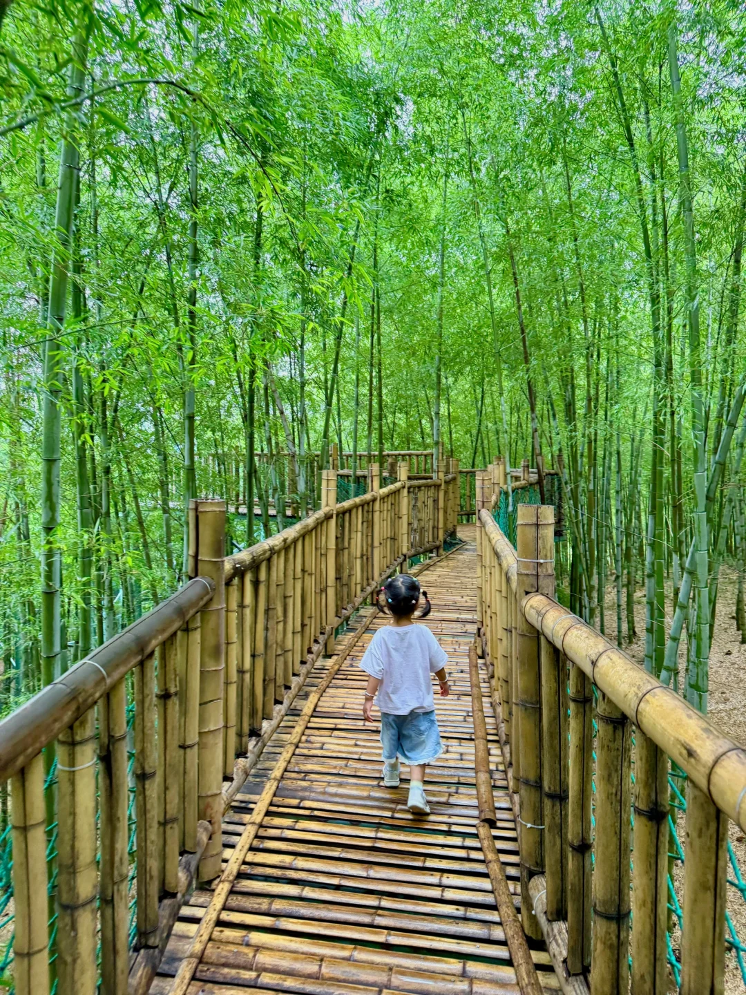 🎈宜兴遛娃|溶洞看钟乳石+玩陶土+看竹海✨