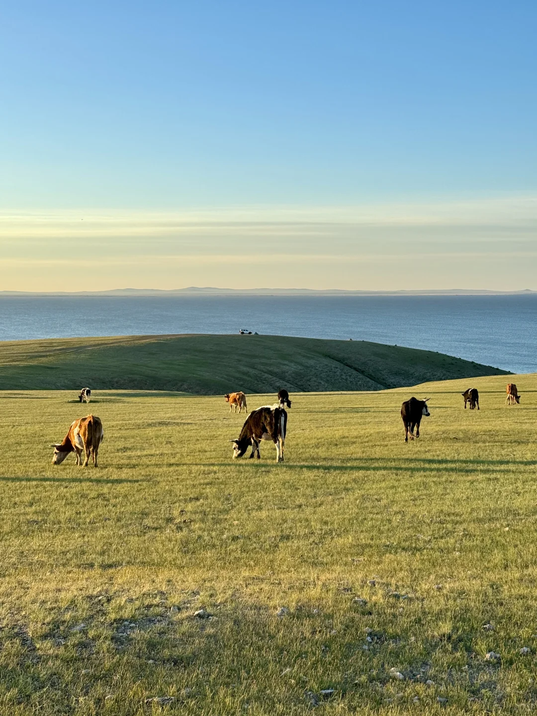 live被草原治愈了，美到让人失语～