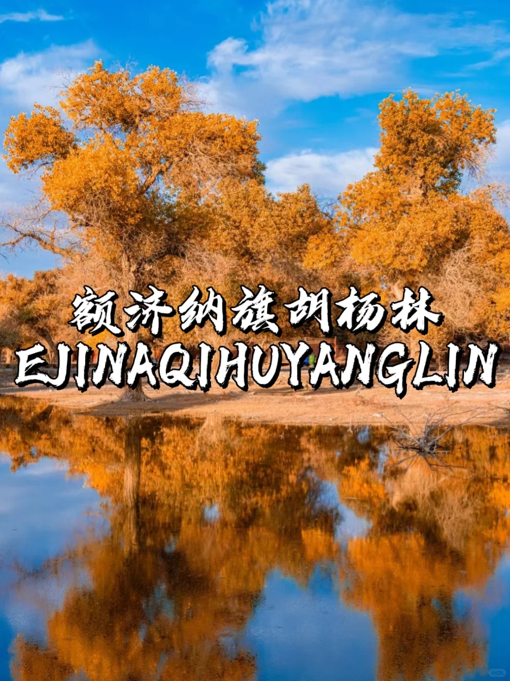 反向旅游❗十大小众城市推荐❗