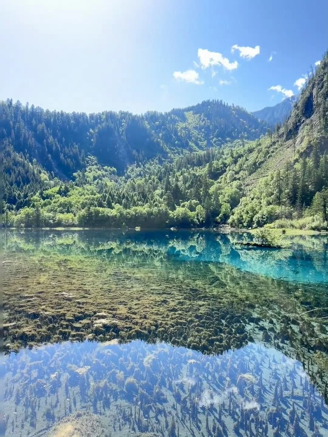 6.16📍九寨沟崩溃已回，要来的慎重考虑