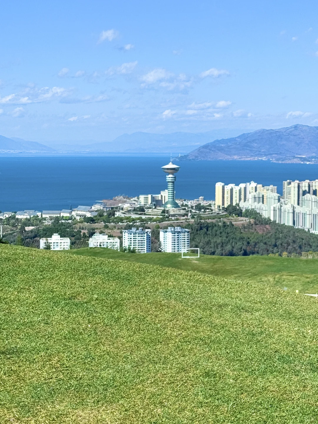 大理新西兰🌳这就是live图存在的意义