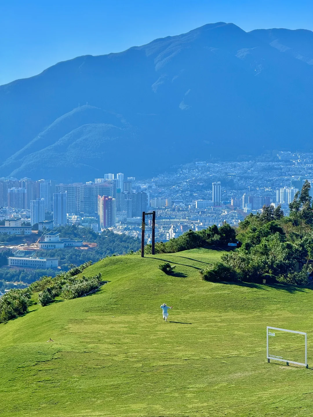 大理新西兰🌳这就是live图存在的意义