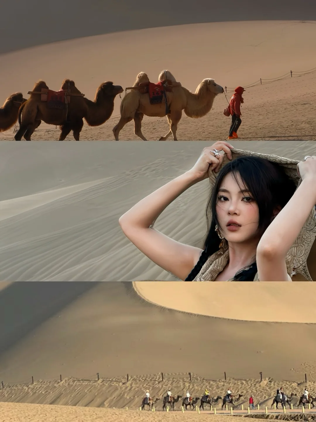 真心不建议七八月去大西北………