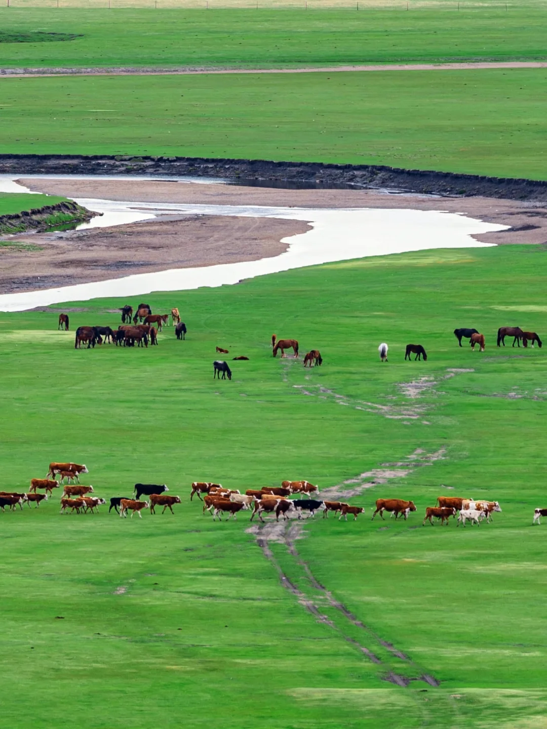 接下来的呼伦贝尔，仿佛走进漫画里一般！！！