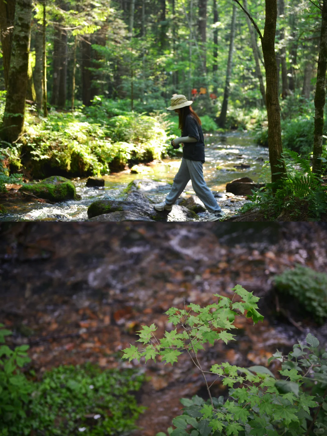 炎炎夏日，在20℃的伊春避暑🍃