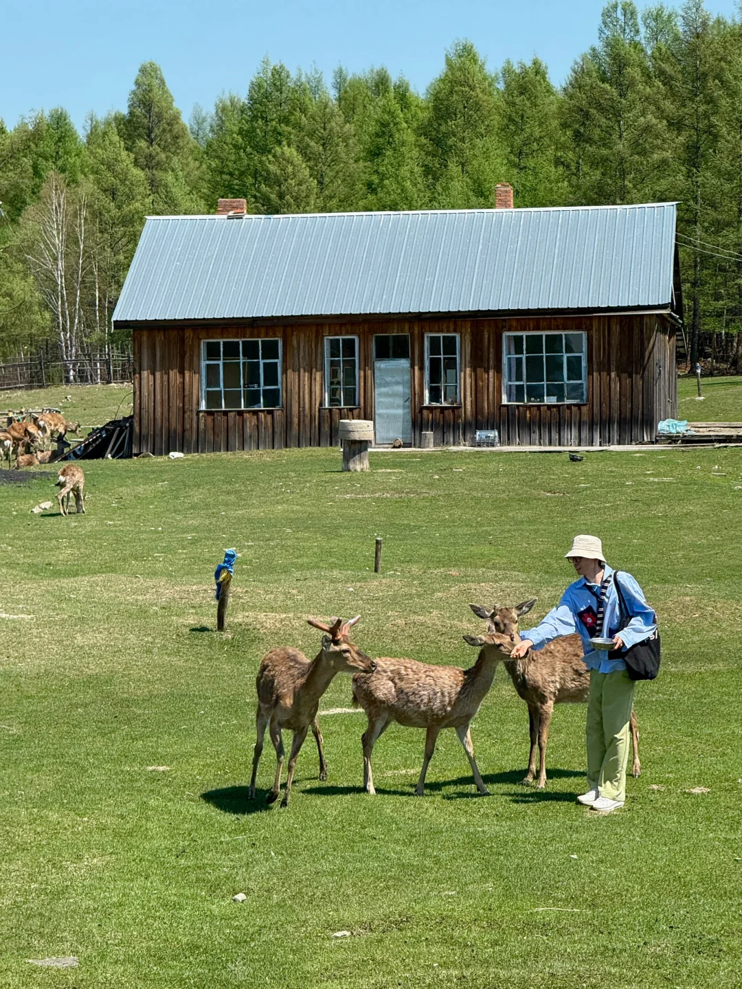 live被草原治愈了，美到让人失语～