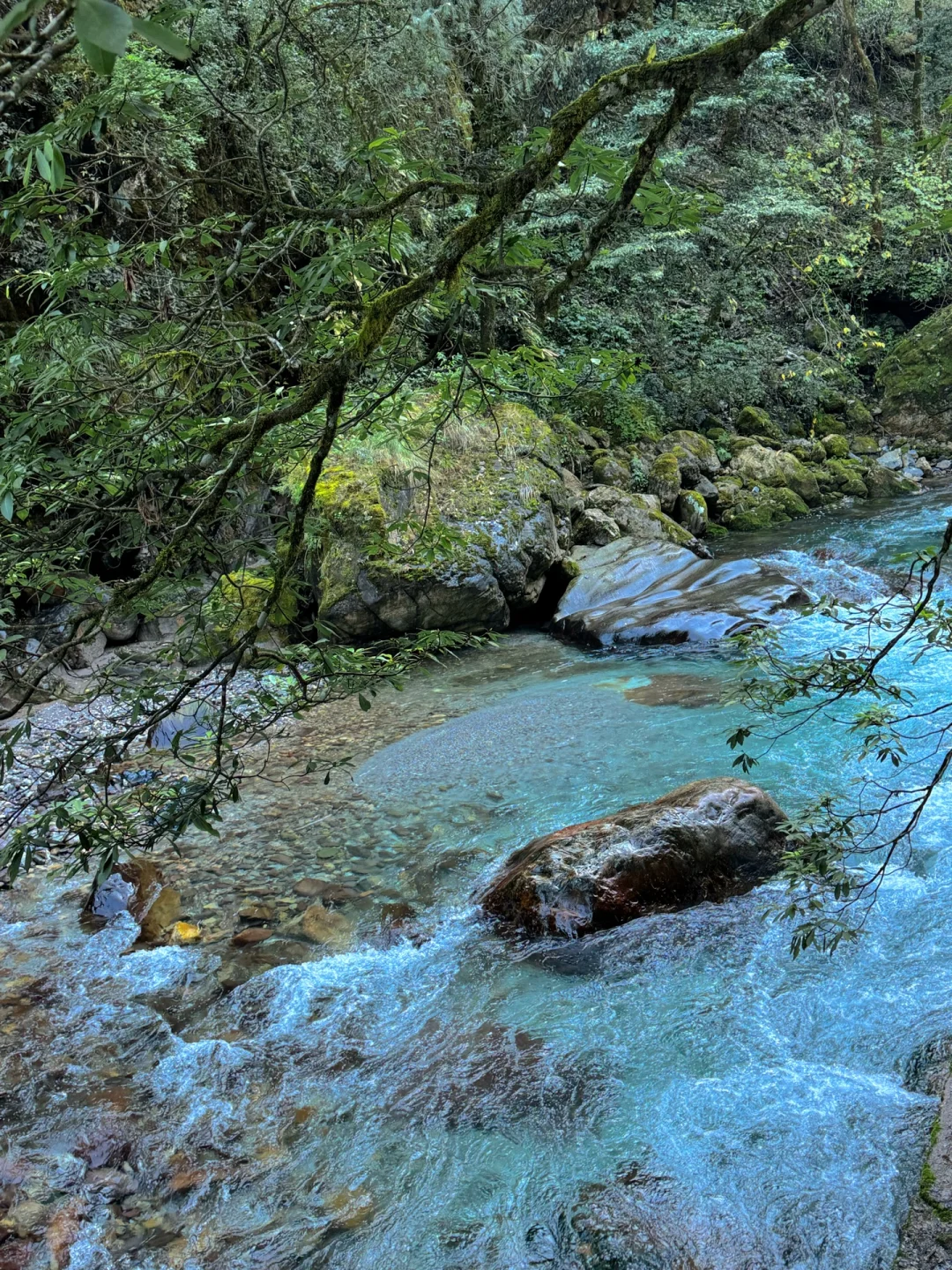 我很少用震撼去形容一个地方😭真不是国外!!