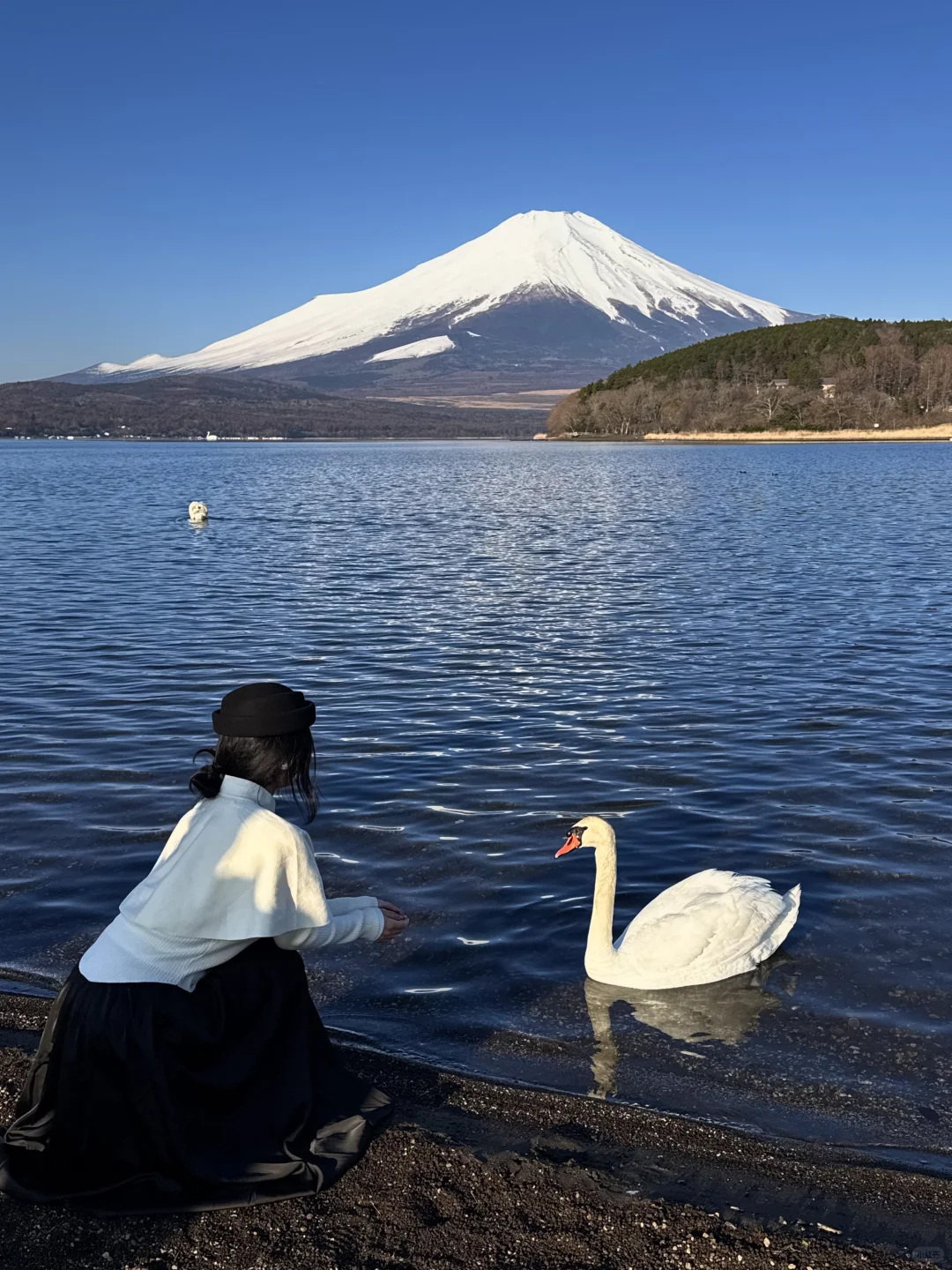 日本｜富士山🗻山中湖绝美粉色日出平野之浜