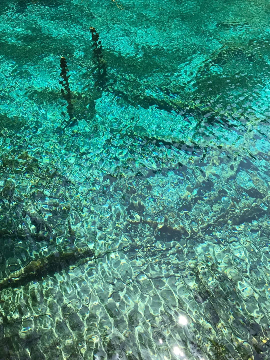 6.16📍九寨沟崩溃已回，要来的慎重考虑