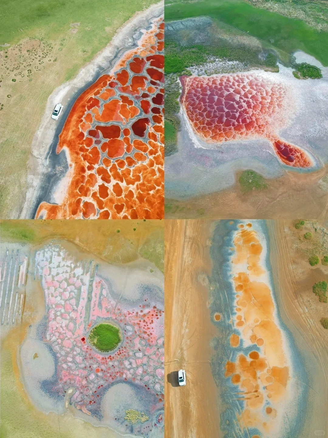 地球的心脏🫀我在小红书跟风最成功的一次…