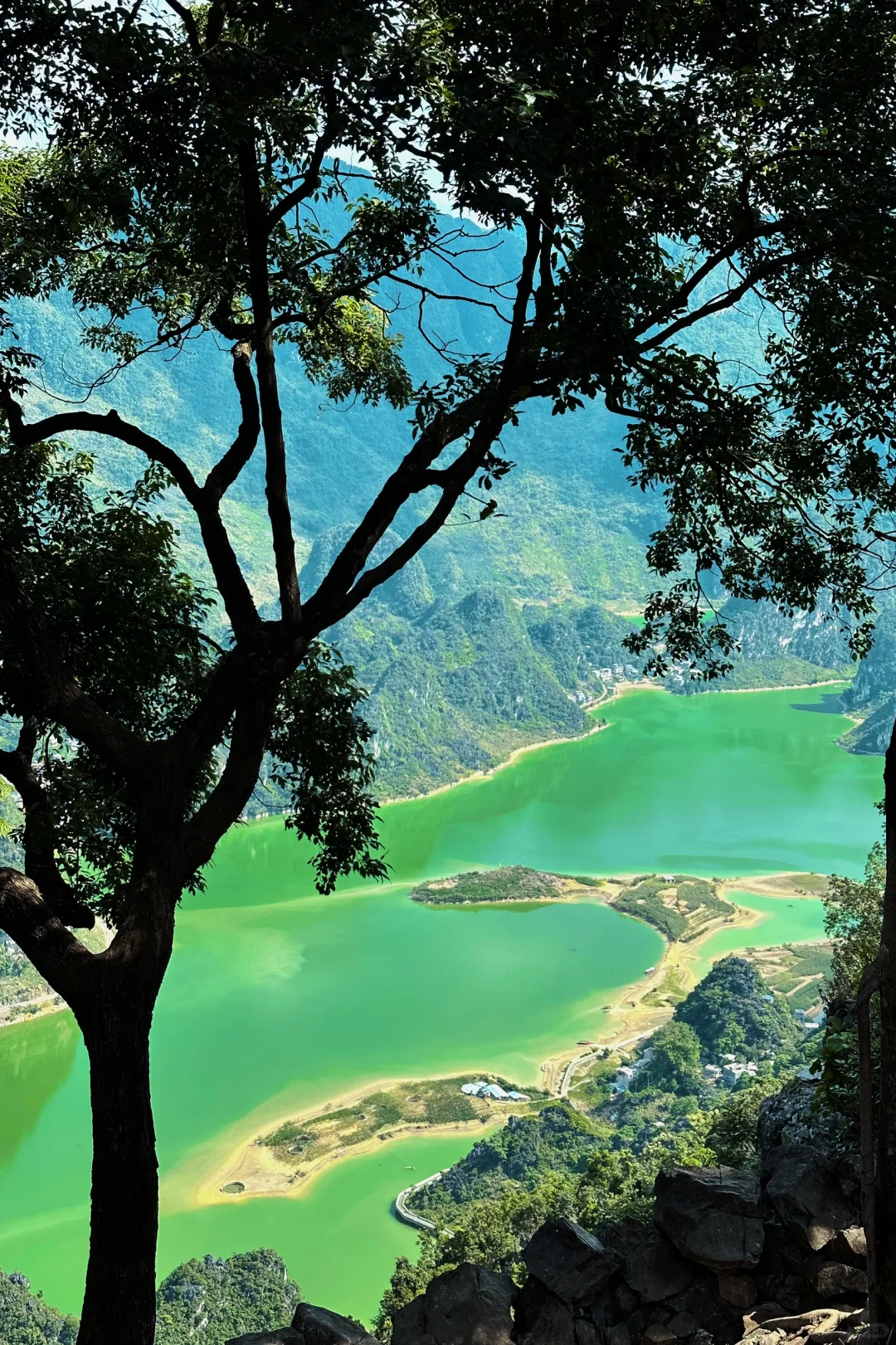 🌿被张馨予安利的秘境！百色浩坤湖美到窒