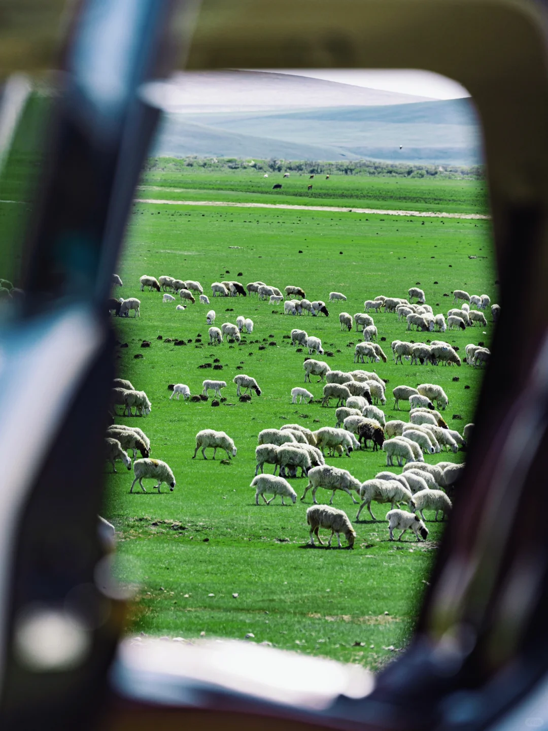 接下来的呼伦贝尔，仿佛走进漫画里一般！！！