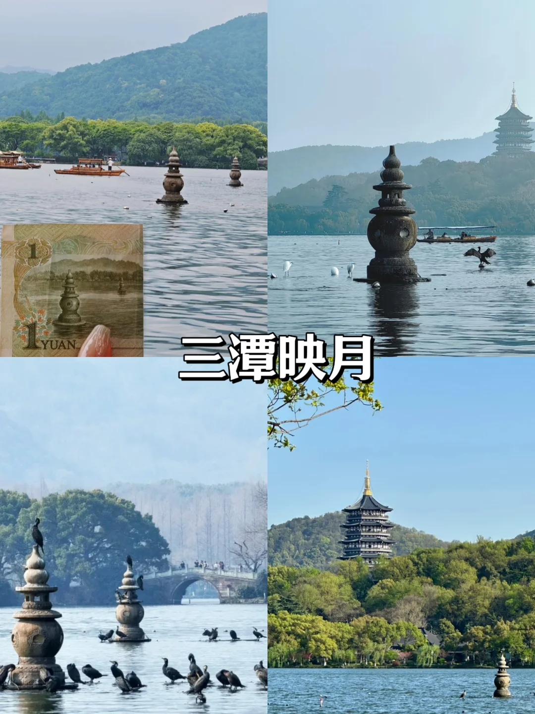 终于有人把6-8月杭州旅游说清楚了！收藏~