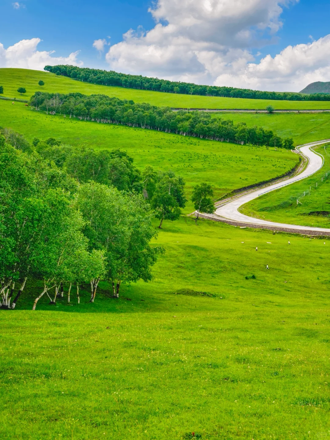 不是呼伦贝尔！是北京🚗3h可达的小众秘境🍃
