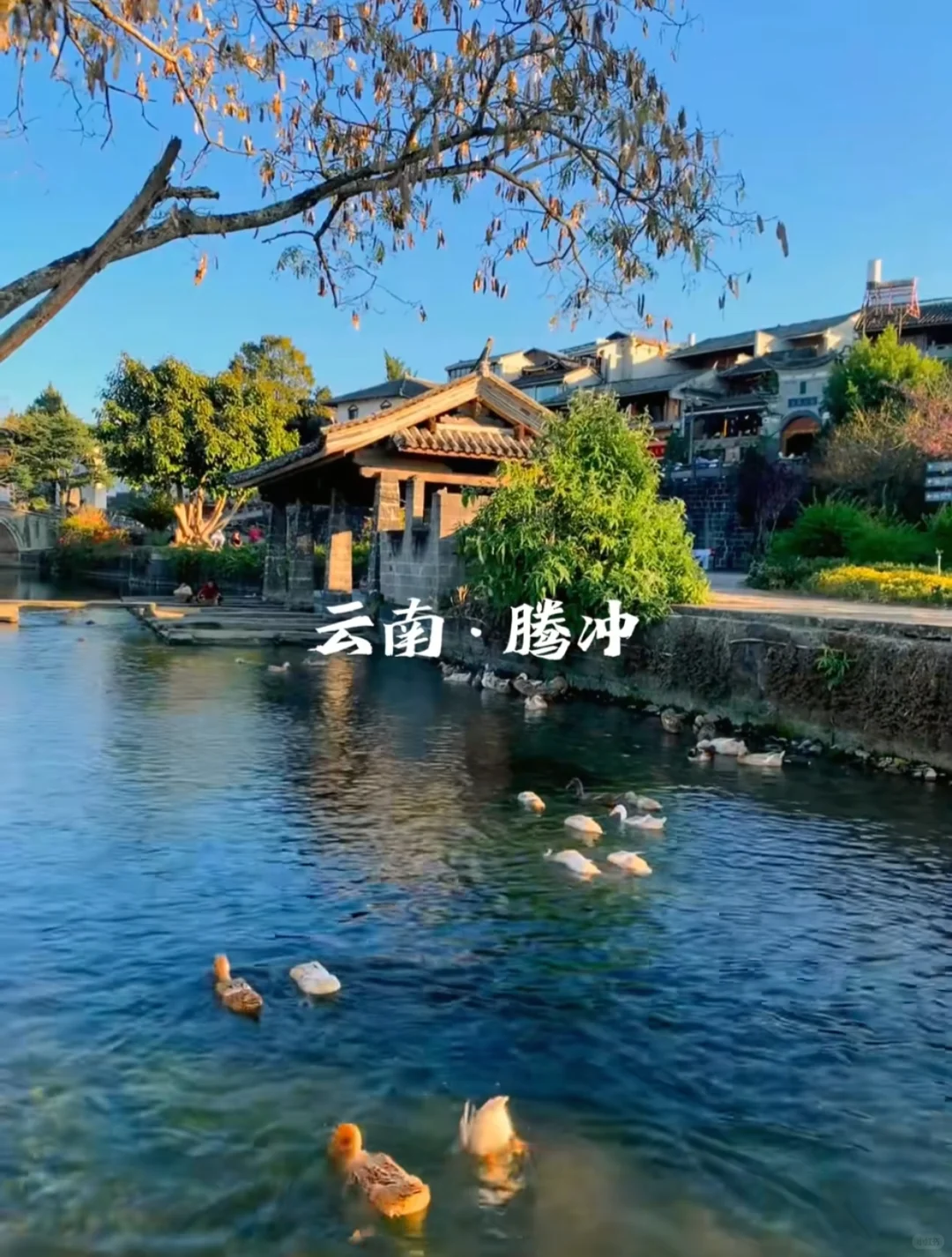 高考后云南毕业旅行|青春不留遗憾攻略