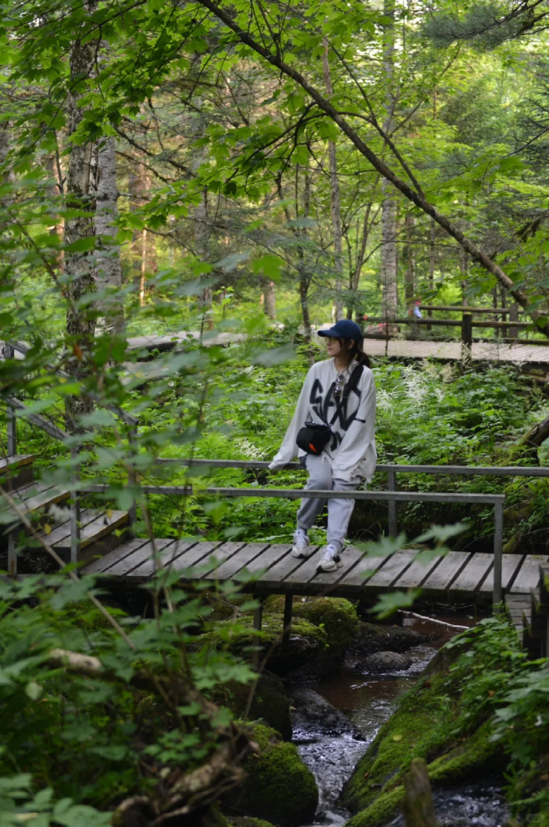 炎炎夏日，在20℃的伊春避暑🍃