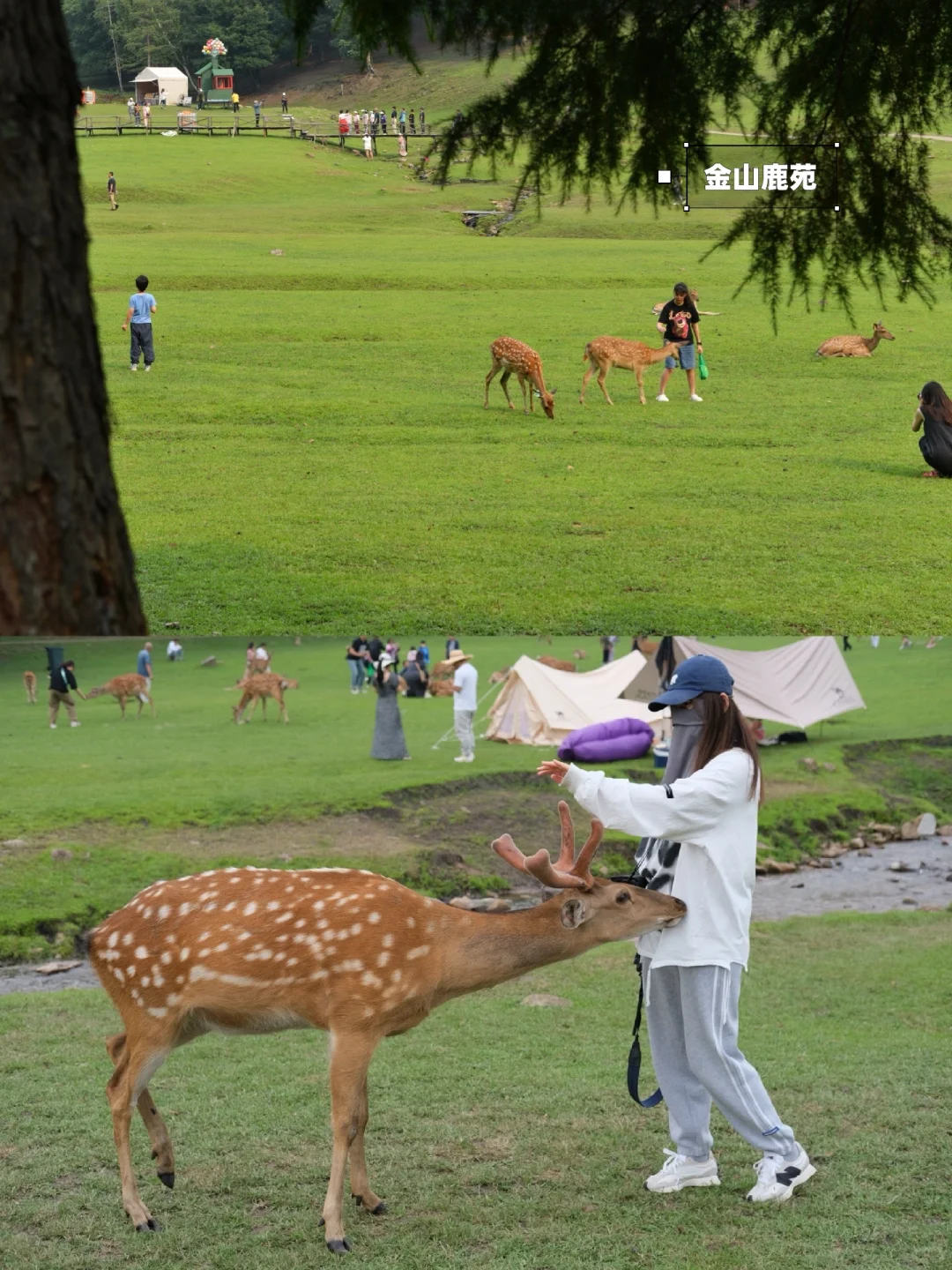 炎炎夏日，在20℃的伊春避暑🍃