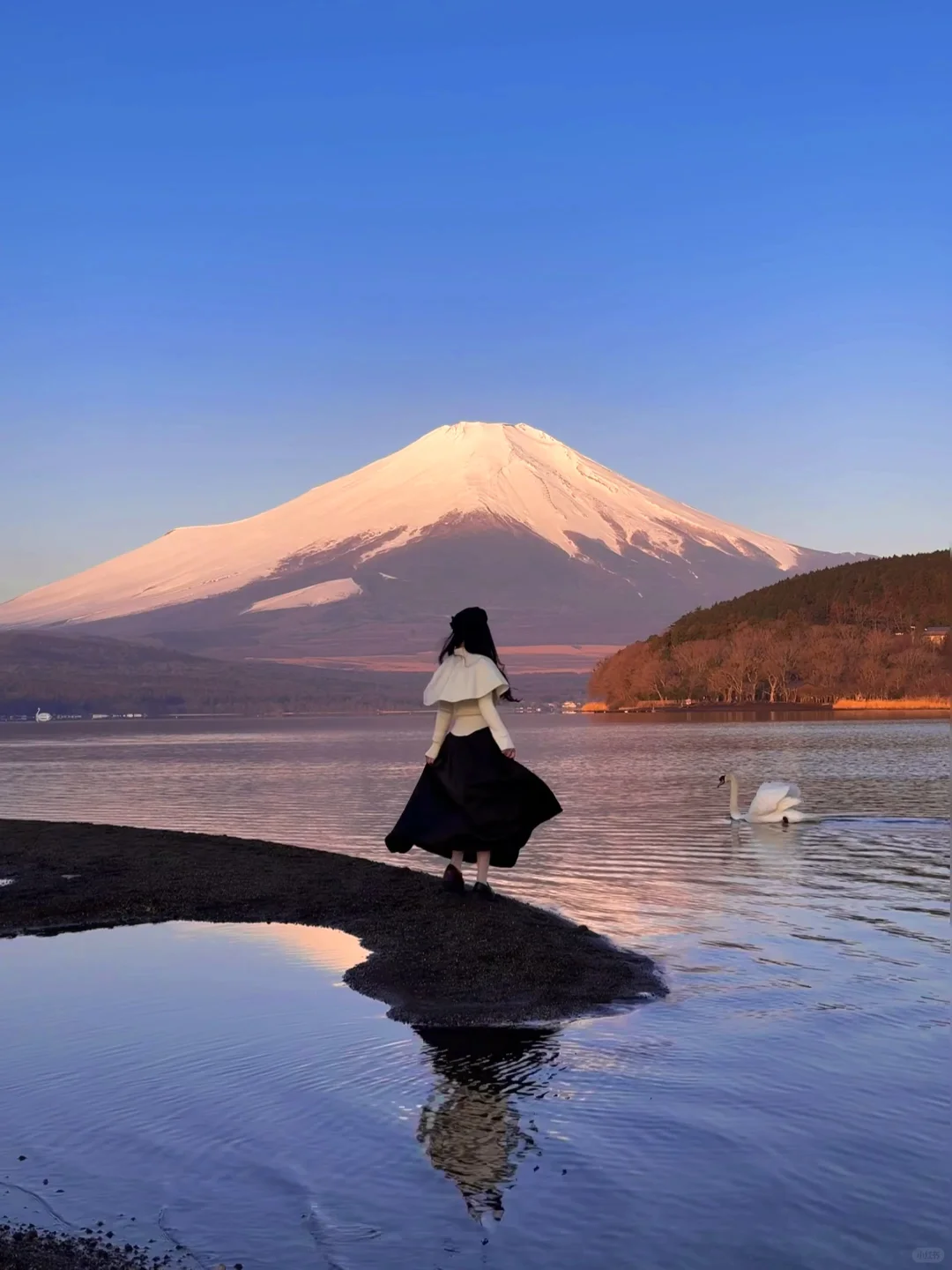 日本｜富士山🗻山中湖绝美粉色日出平野之浜