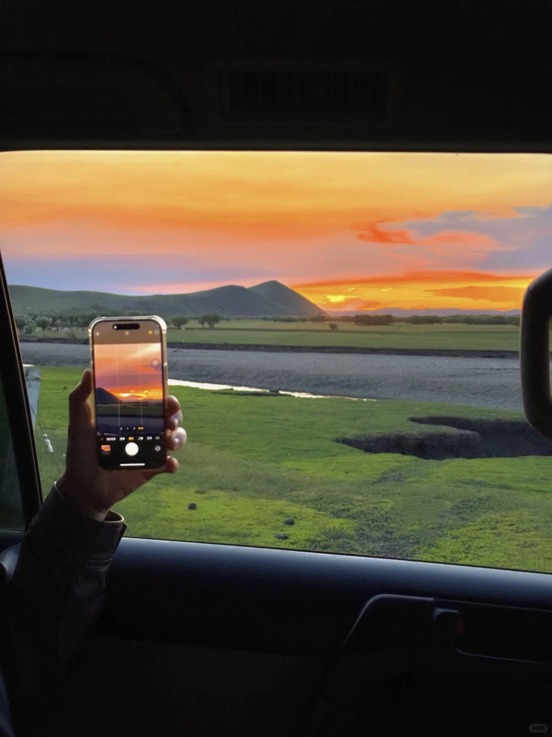 live直出!初夏的呼伦贝尔赢麻了~