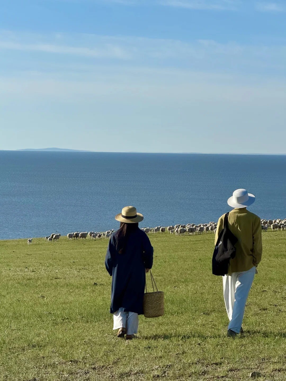 live被草原治愈了，美到让人失语～
