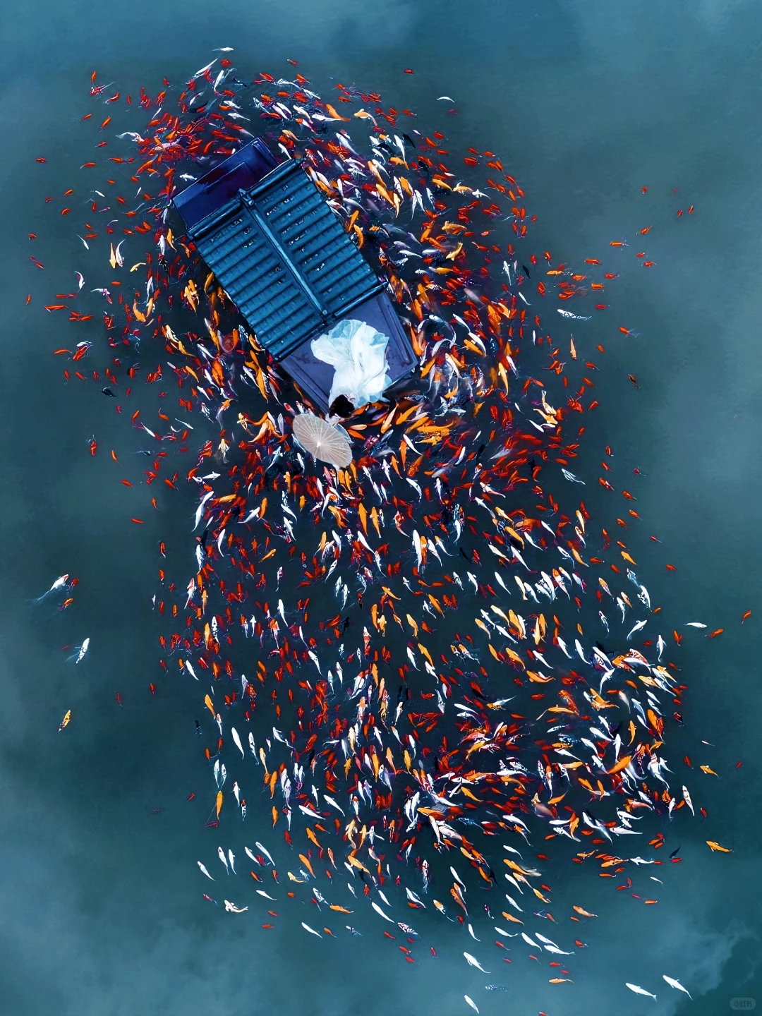 李白没骗我‼️我在江西拍到了「手可摘星辰」✨