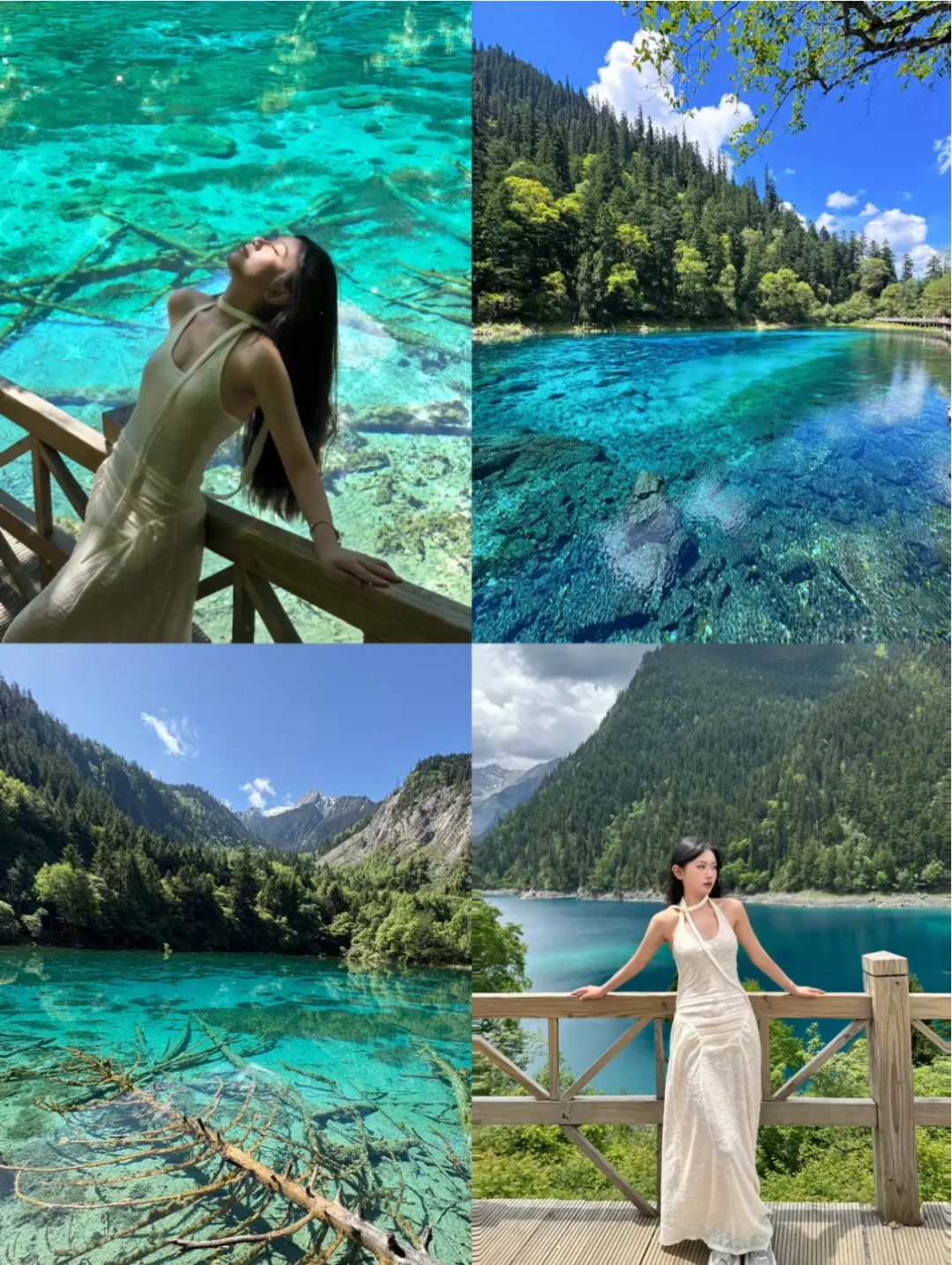 3天畅玩四川3大IP🌴九寨沟若尔盖四姑娘山