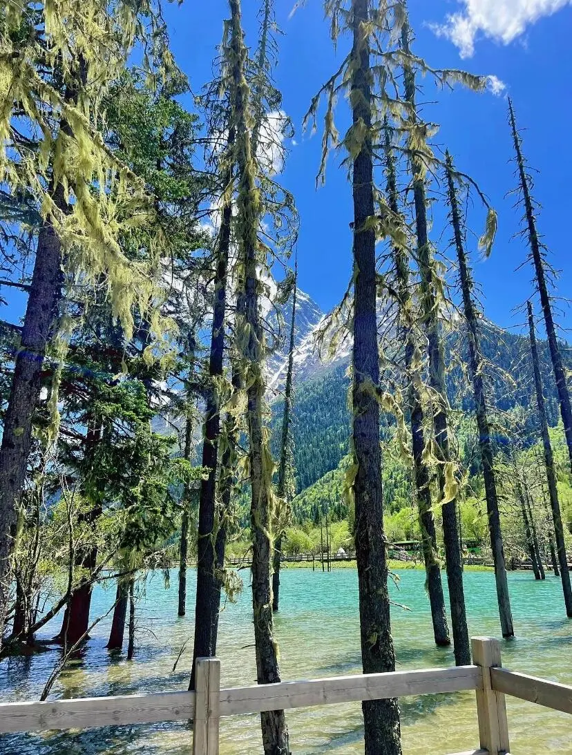 被川西治愈了！我找到了国内版瑞士阿尔卑斯