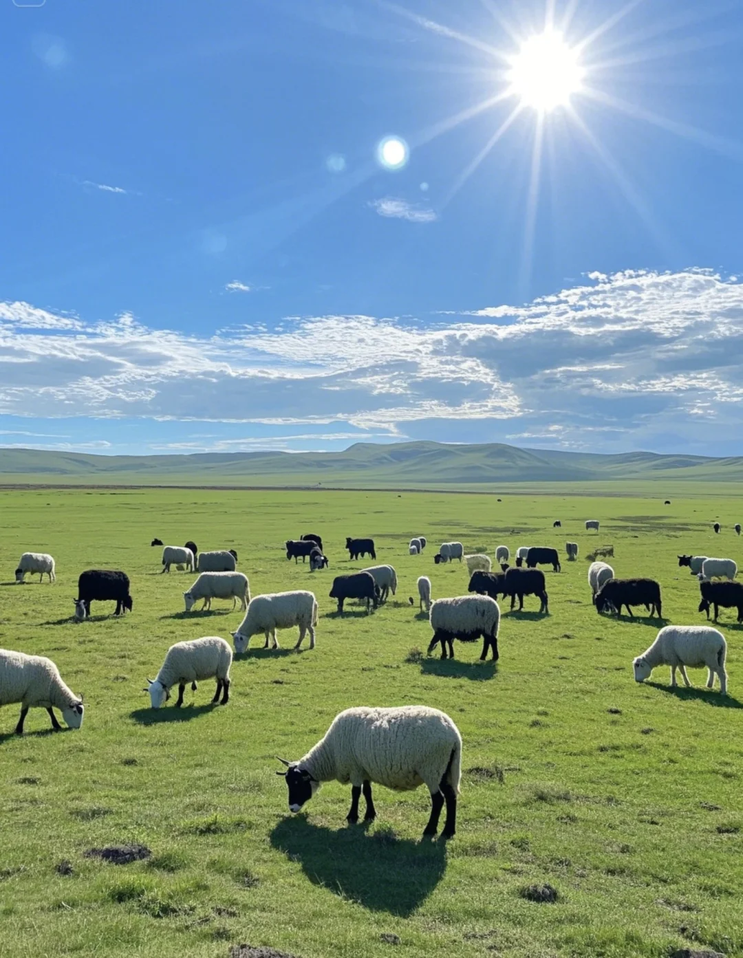 呼伦贝尔听劝指南!6-7月草原刺客出没