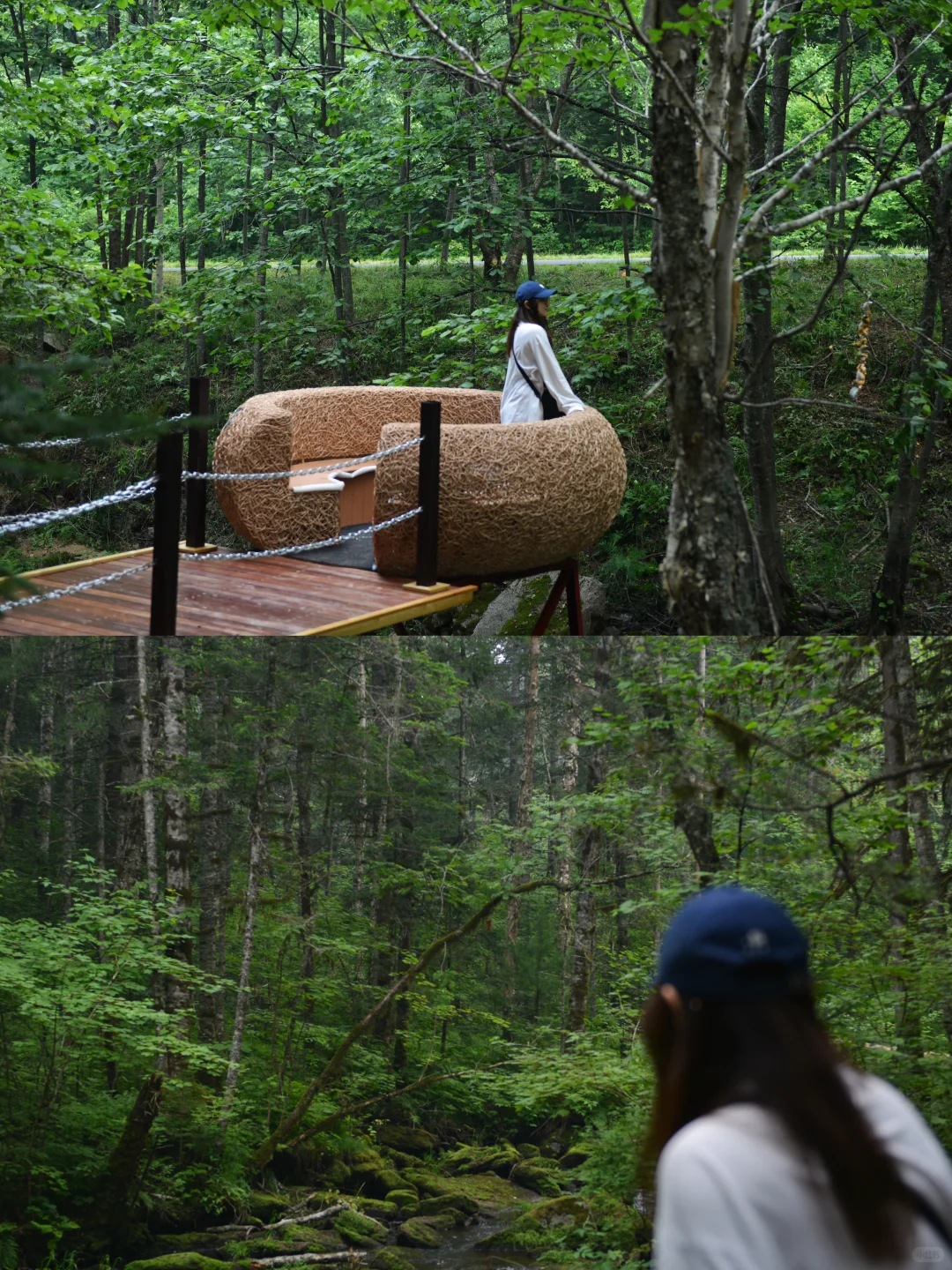 炎炎夏日，在20℃的伊春避暑🍃
