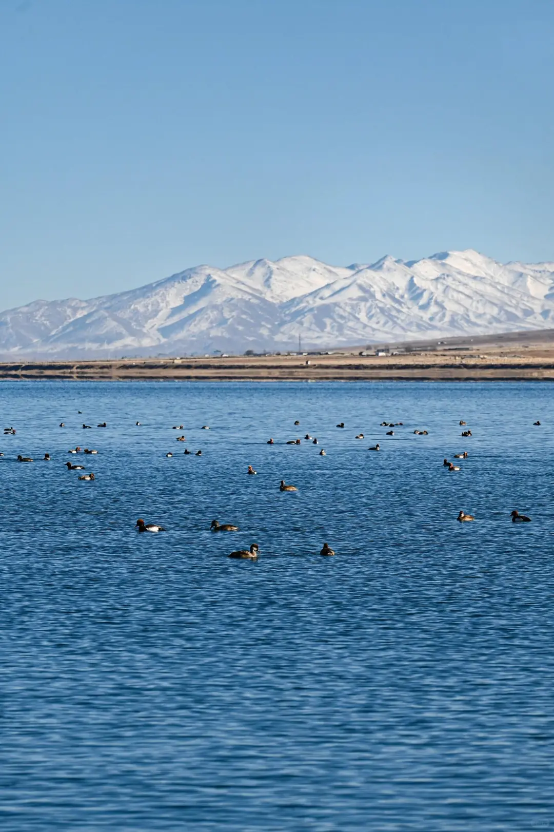 翻开这一页||才能读懂大西北的壮丽
