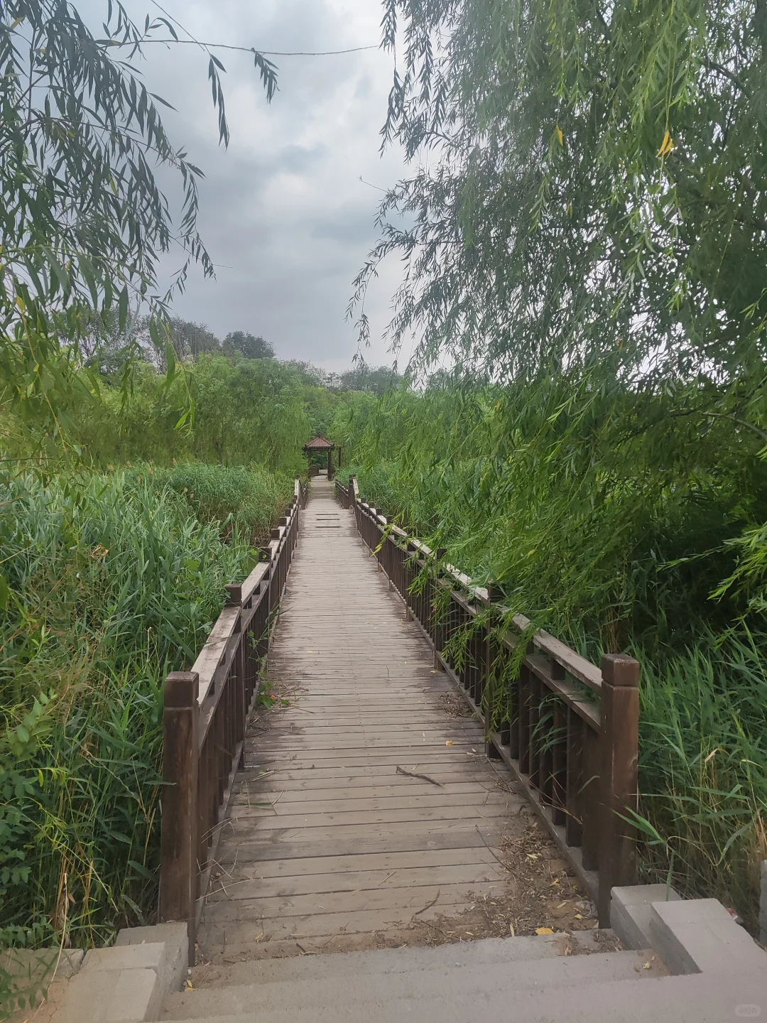 ✨邯郸遛娃👣沁河源景区