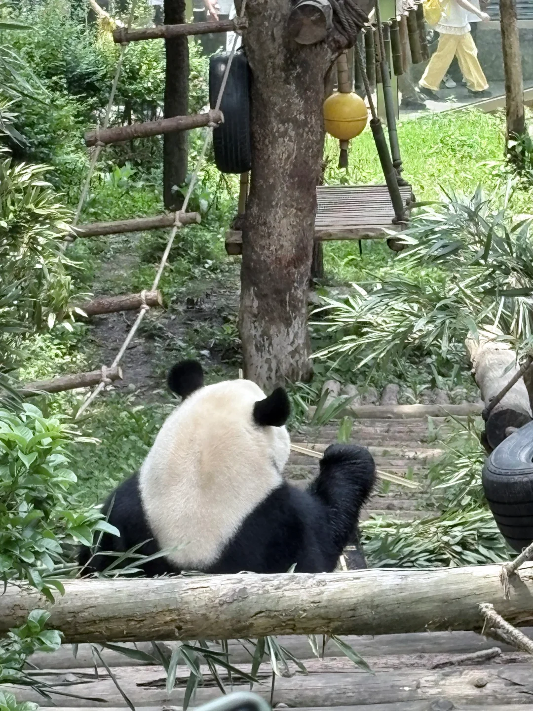 贵州| 旅行攻略