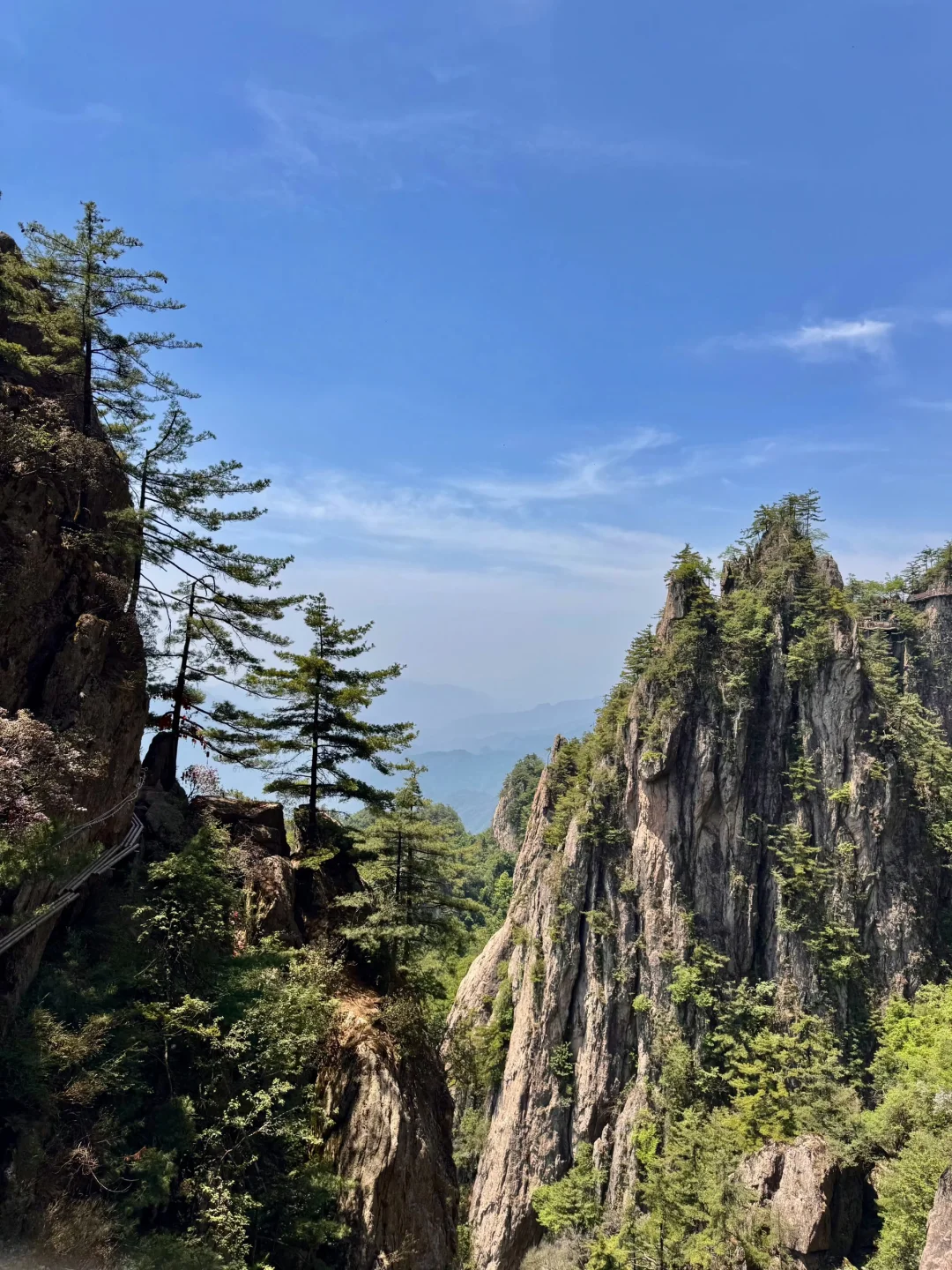 🌄远赴人间惊鸿宴，老君山上遇神仙