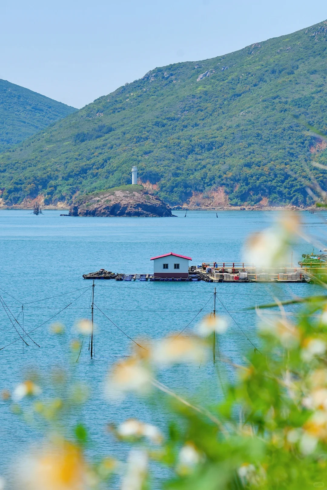 平潭旅游刚回，风车大海美到发疯😭（live图