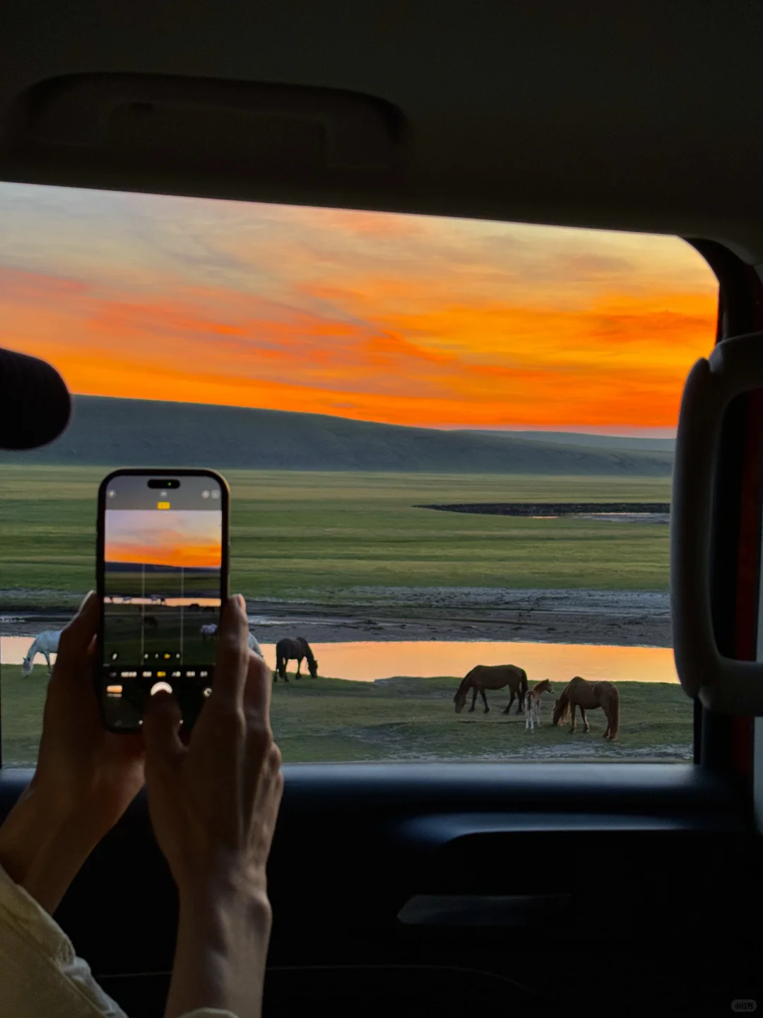live被草原治愈了，美到让人失语～