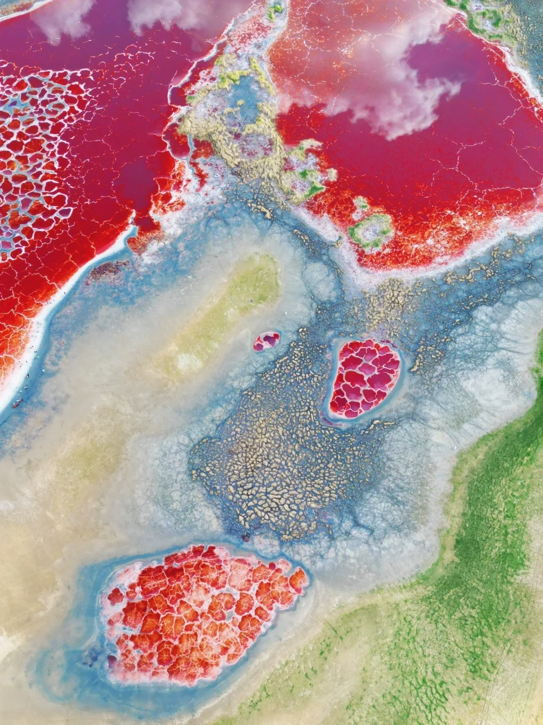 地球的心脏🫀我在小红书跟风最成功的一次…