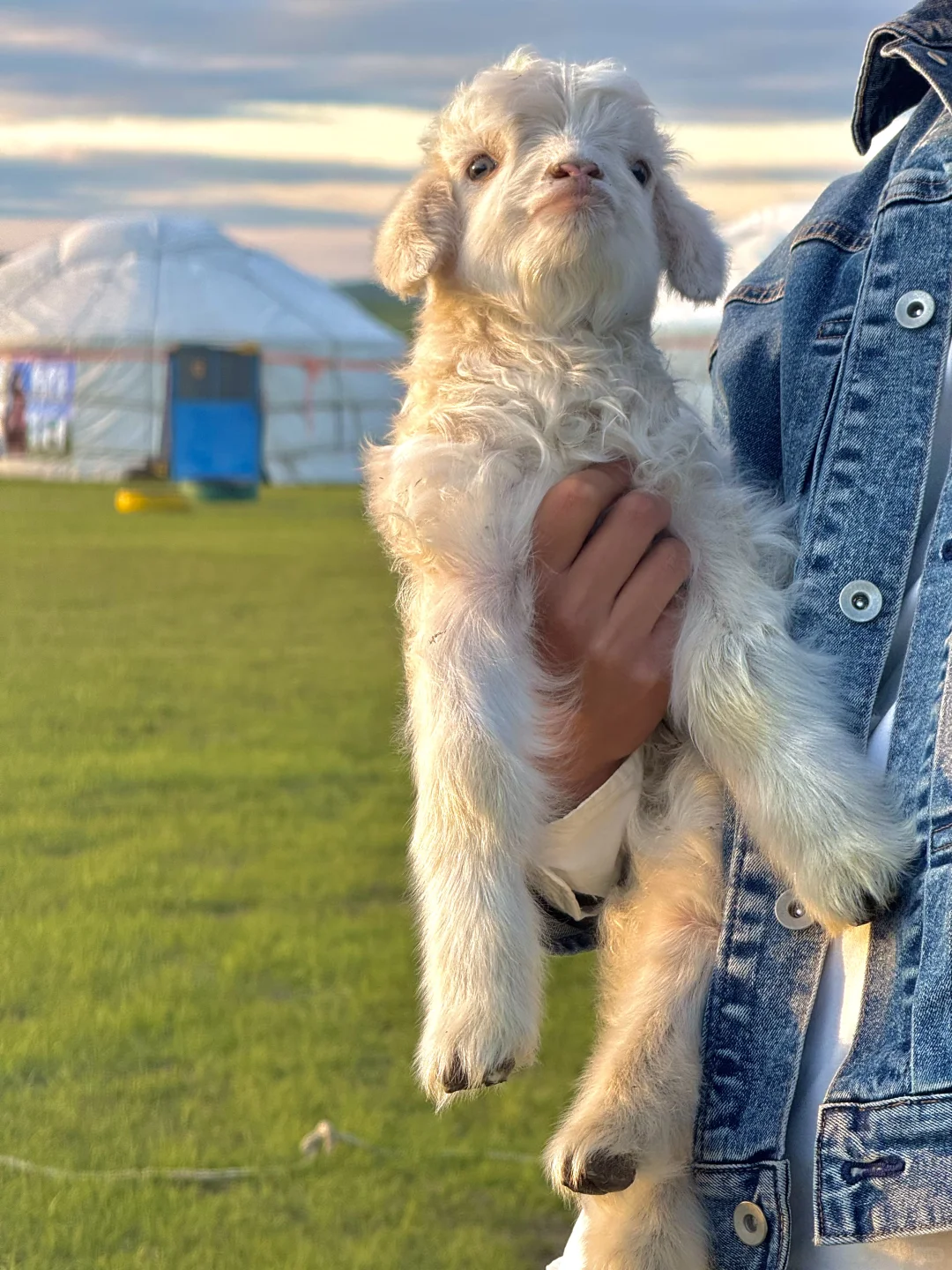 live直出!初夏的呼伦贝尔赢麻了~