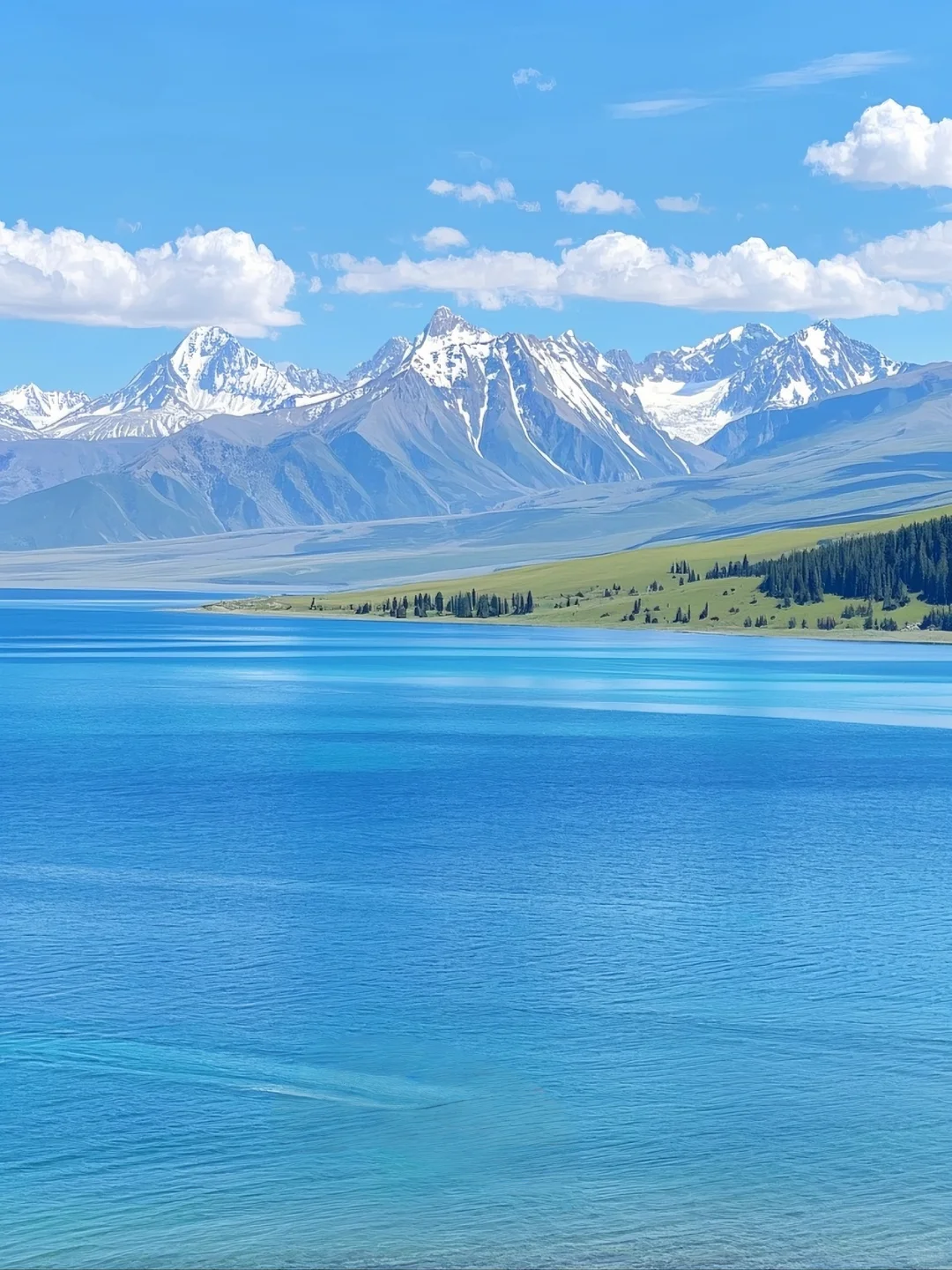 夏天的赛里木湖,不是只有美这么简单!