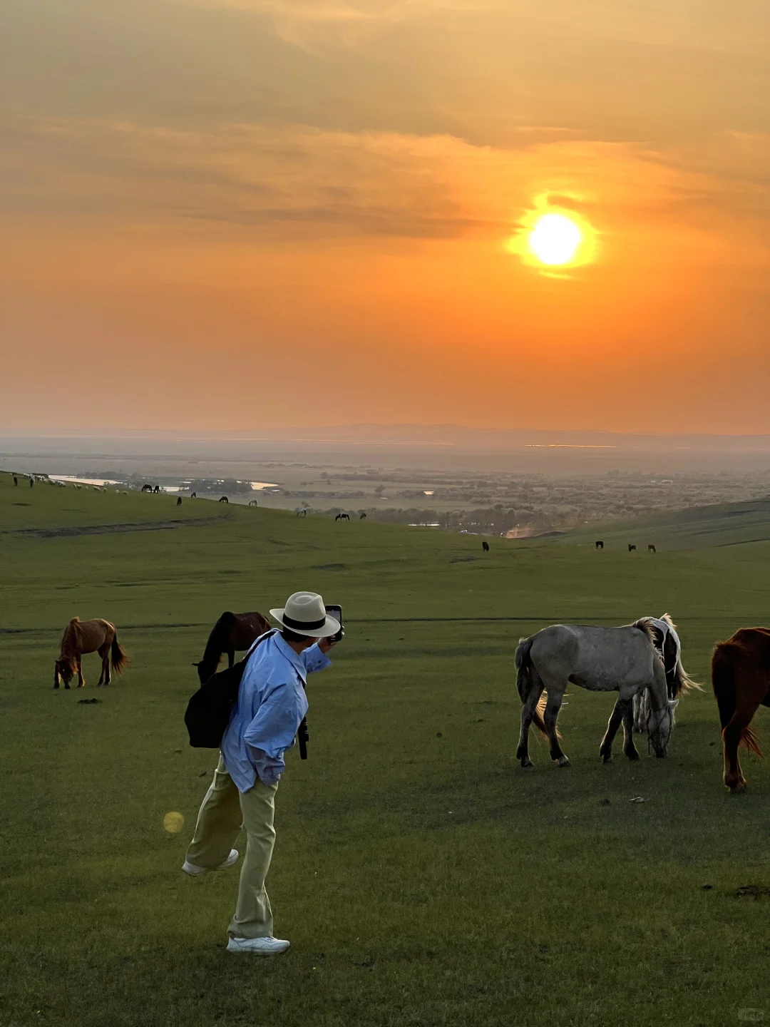 live被草原治愈了，美到让人失语～