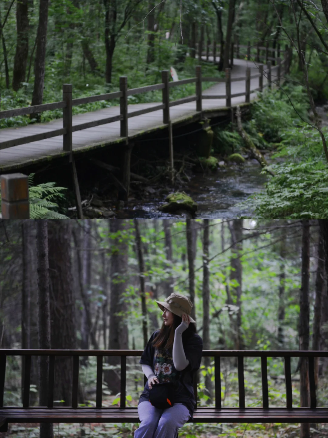 炎炎夏日，在20℃的伊春避暑🍃