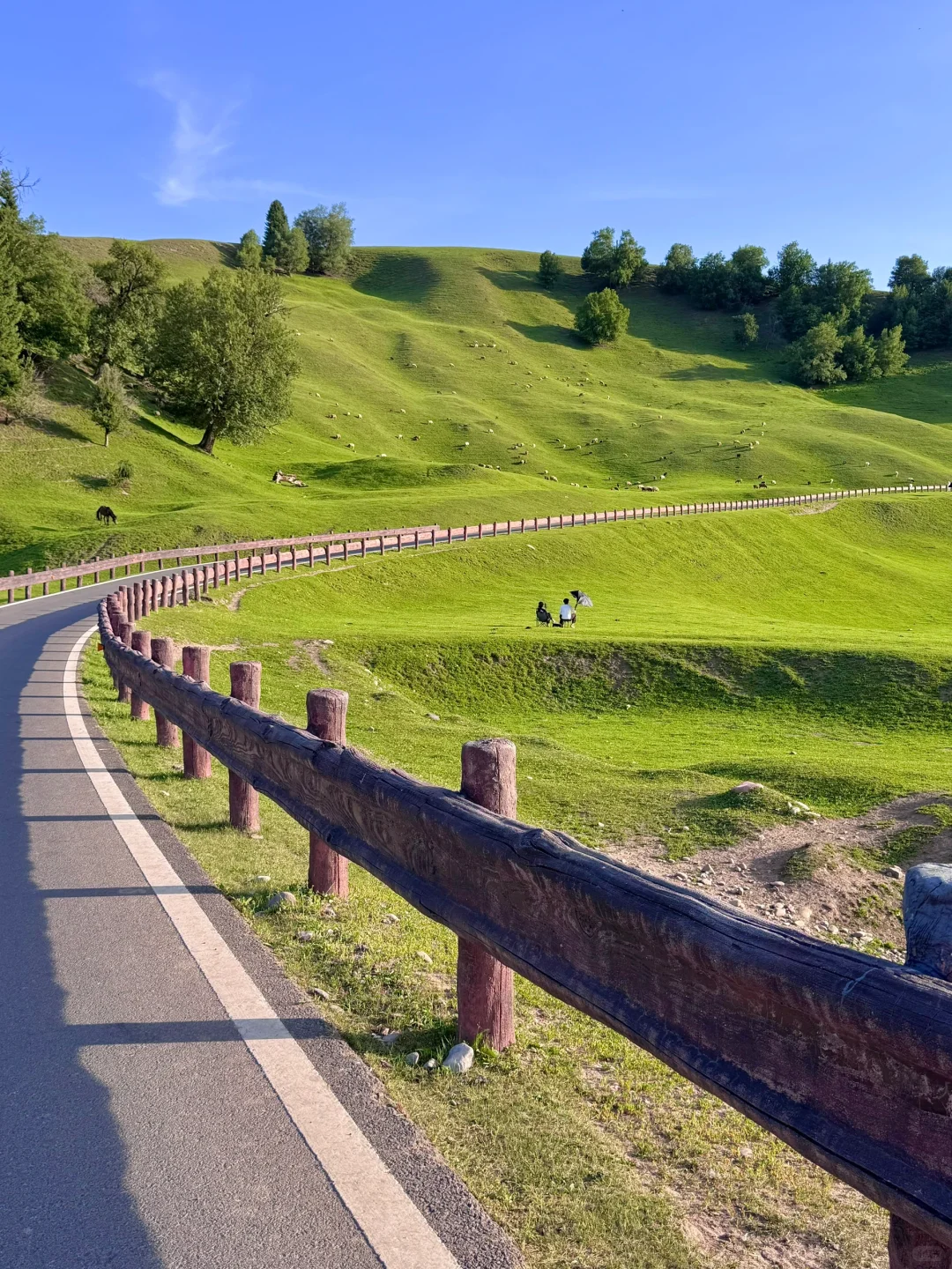 去那拉提别再排队🧎网红桥了🌲
