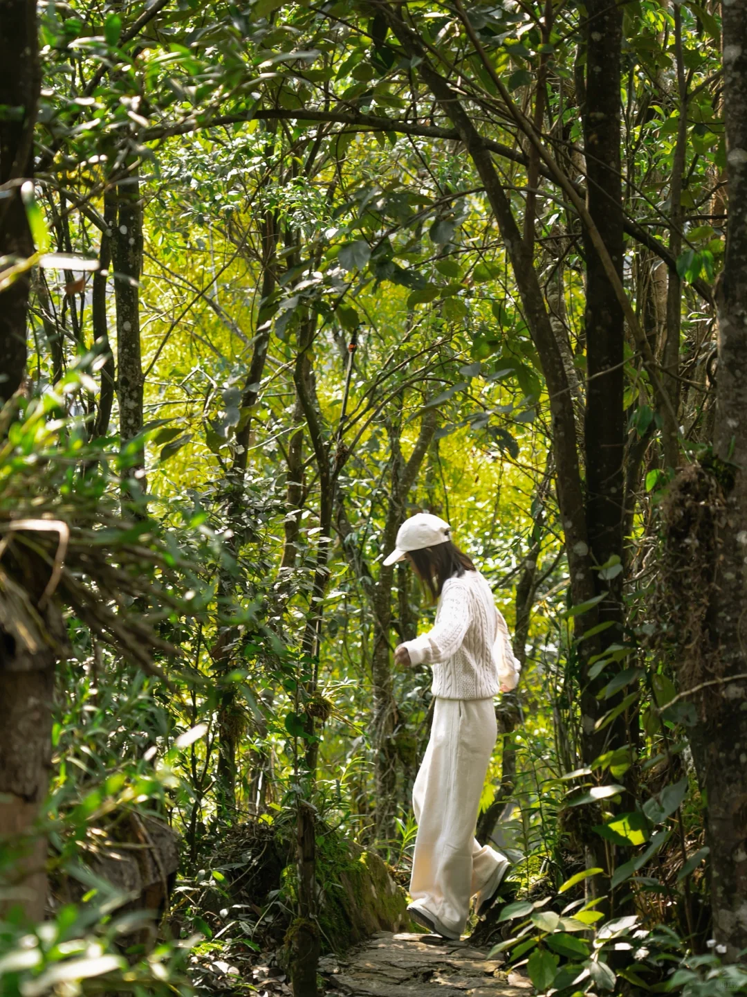 小众旅行地｜这一定是云南最后一片秘境‼️