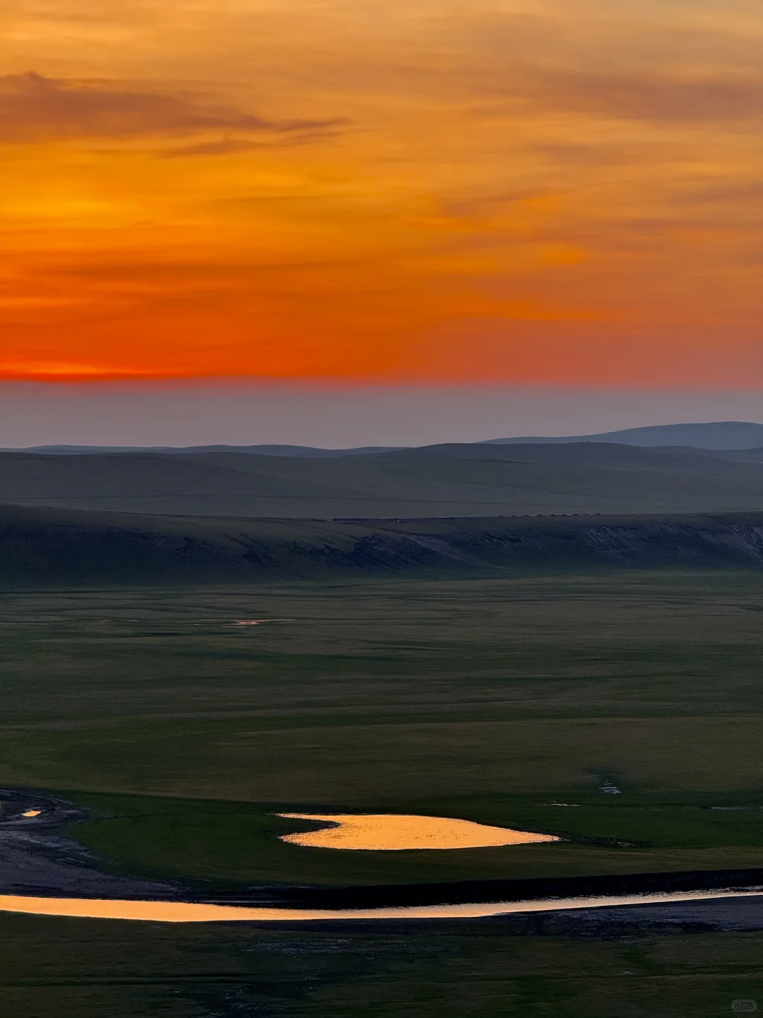 live被草原治愈了，美到让人失语～