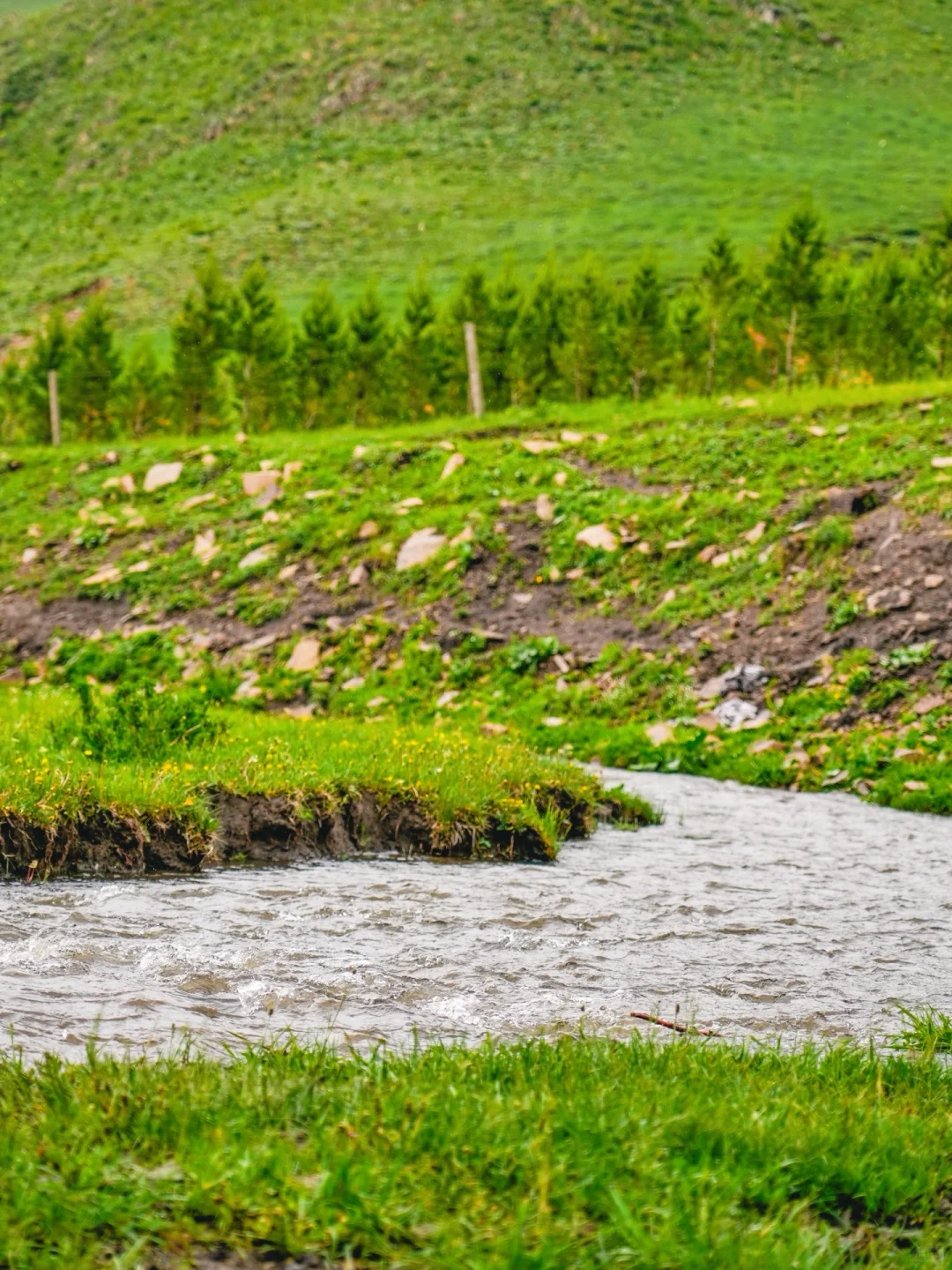不是呼伦贝尔！是北京🚗3h可达的小众秘境🍃