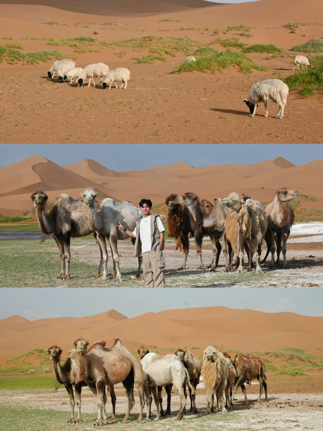 地球的心脏🫀我在小红书跟风最成功的一次…