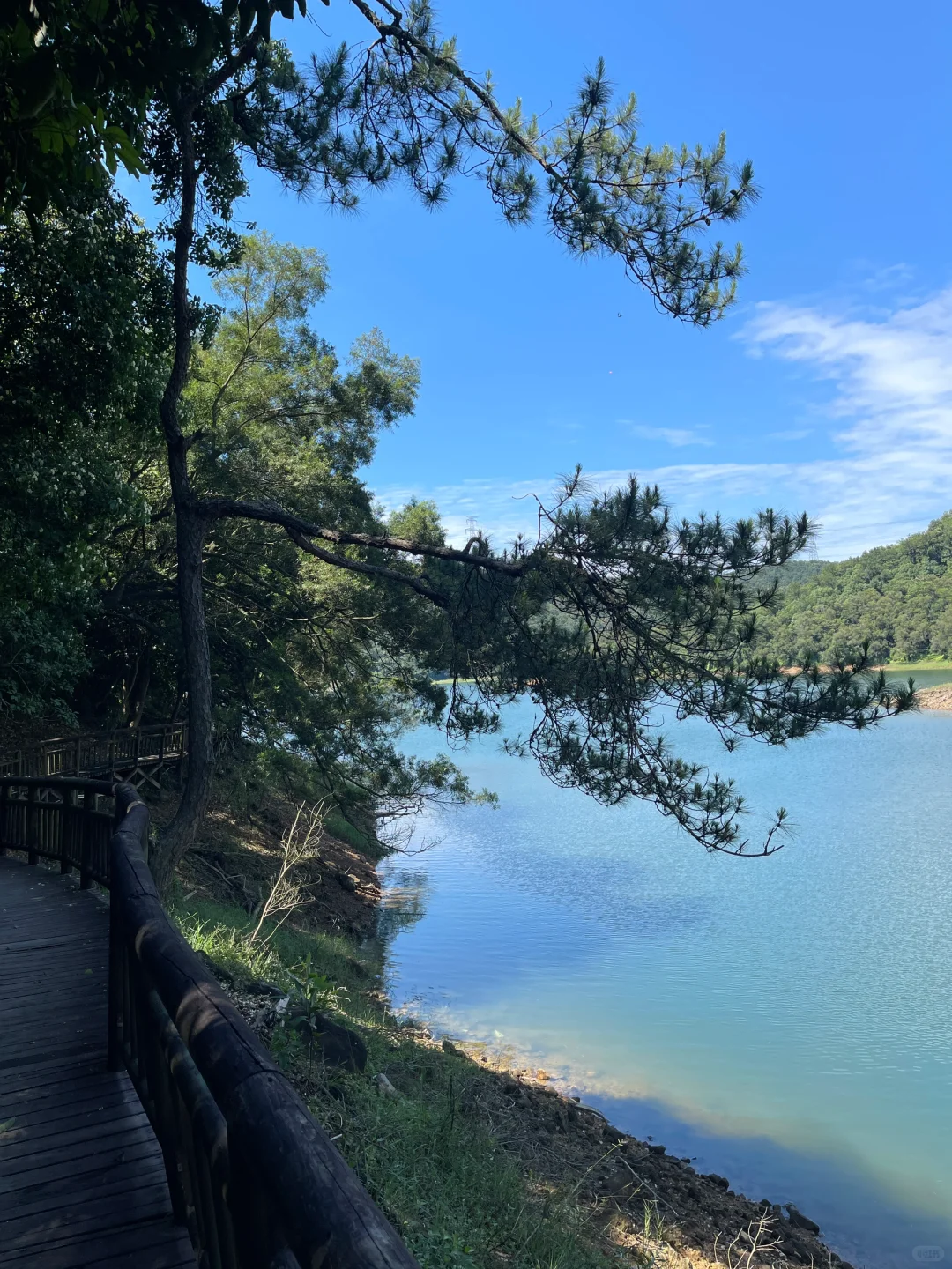 来厦门！！📍一定要去的6️⃣个地方！！附地址··